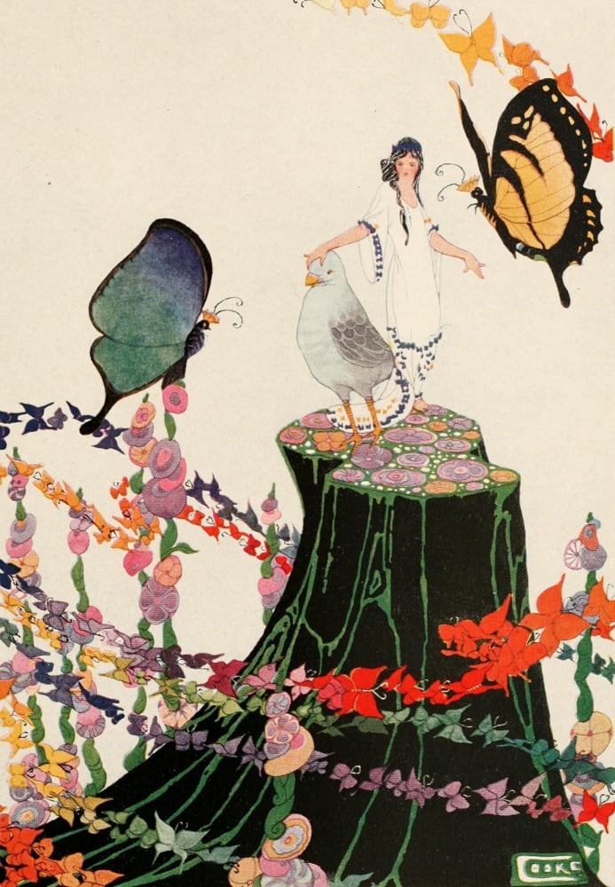 Stories 1922 Brilliant butterflies Canvas Art - Edna Cooke (24 x 36)