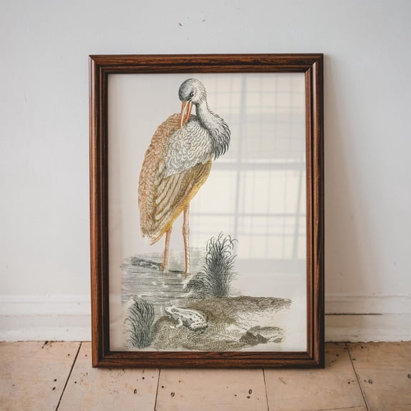 Stork And Frog By The Water, Bird Poster, Antique Animal, Vintage Poster Wall Art Decor, Bird Illustration, Art Poster, Unframed Poster Size 12x18