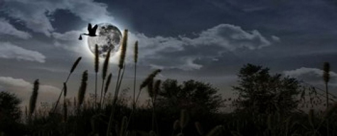Stork with a baby flying over moon Canvas Art - Panoramic Images (15 x 6)
