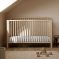 thumbnail image 1 of Storkcraft Porto 5-in-1 Convertible Crib with Bonus Toddler Guardrail - Driftwood, 1 of 14