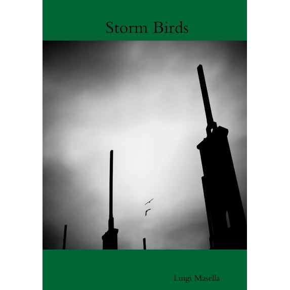 Storm Birds, (Paperback)