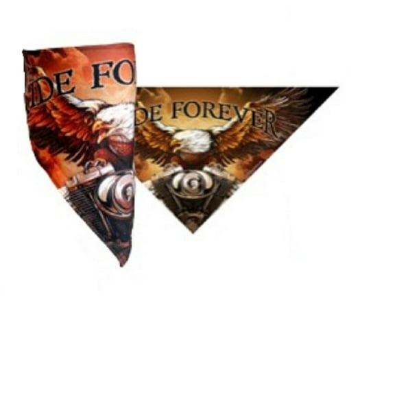 Storm Cloud Eagle Bikers Mask, Hook and Loop Fastener - Triangle Fleece Lined Neck Warmer Face Wrap, Facemask - One Size