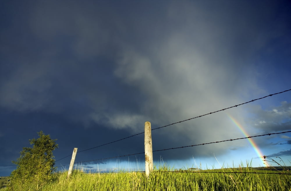Storm Clouds And Rainbow Southern Alberta Canada Canvas Art - Darwin Wiggett Design Pics (34 x 22)