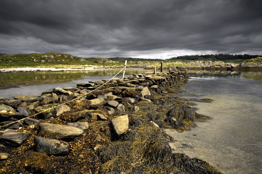 Storm Clouds Gigha Scotland Canvas Art - John Short Design Pics (18 x 12)