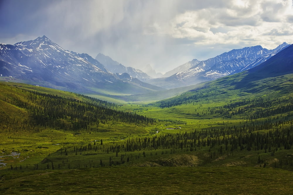 Storm Clouds Over The Klondike Valley In Tombstone Territorial Park Near The End Of Dempster HighwayYukon Canada Canvas Art - Robert Postma Design Pics (19 x 12)