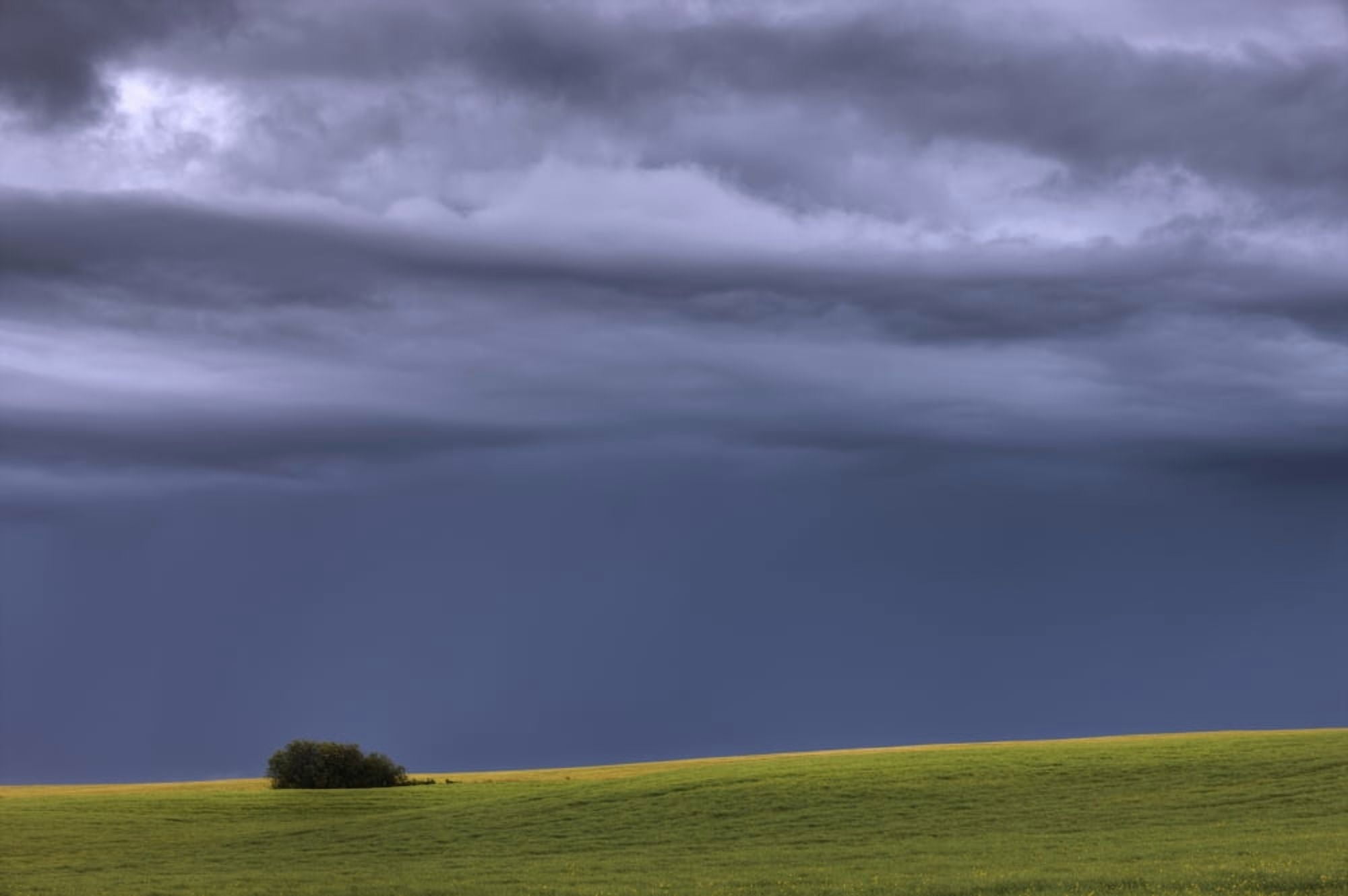 Storm Clouds Over Pasture On Summer Evening Central Alberta Canvas Art - Dan Jurak Design Pics (17 x 11)