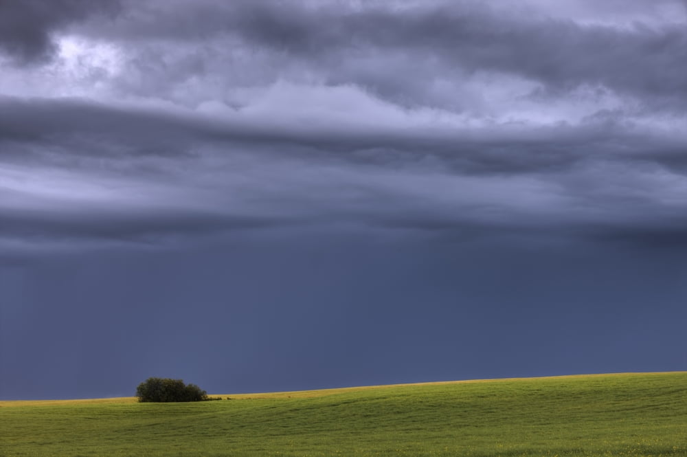 Storm Clouds Over Pasture On Summer Evening Central Alberta Canvas Art - Dan Jurak Design Pics (34 x 22)
