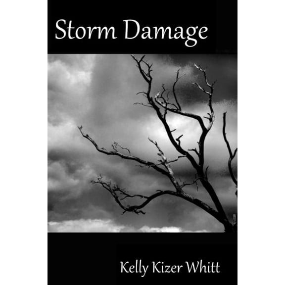 Evelyn: Storm Damage (Paperback)