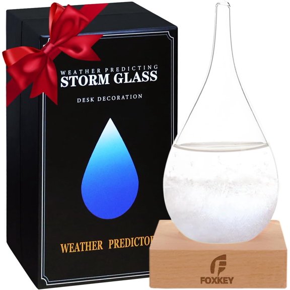 Storm Glass Weather Predictor, Weather Barometer Unique Christmas Gift | Unique Christmas Snow Globe Weather Forecast Gift for Men and Women - Storm Cloud Home/Office Desk Decor