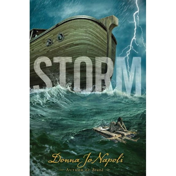Storm (Hardcover)