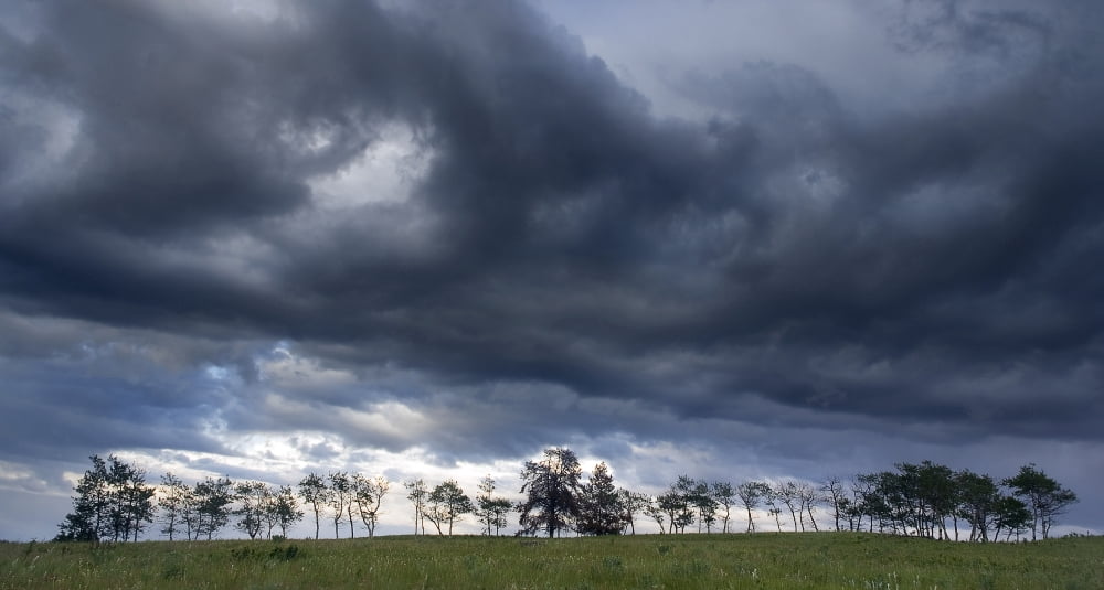 Storm Over The British Columbia Grasslands Canvas Art - Chris Harris Design Pics (20 x 10)