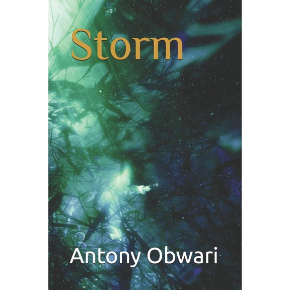 Storm, (Paperback)