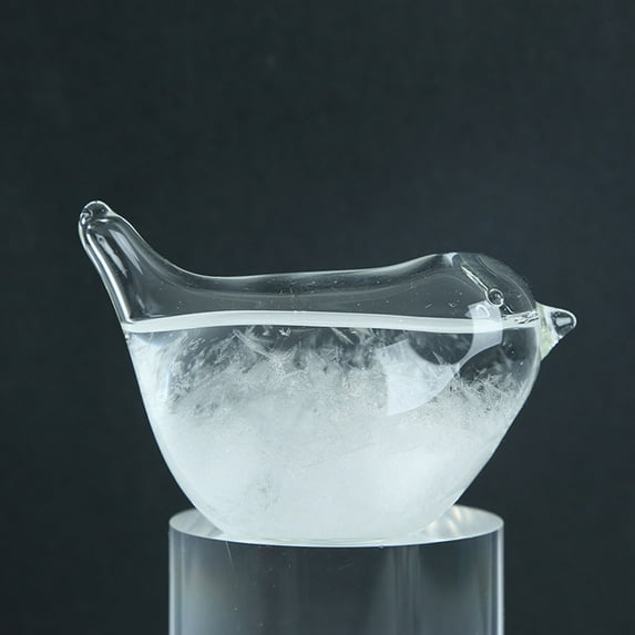 Storm Weather Forecaster,Water Drop Weather Predictor,Drop-Shaped Glass Barometer,Home and Office Decorative Glass Bottles (Clear2)