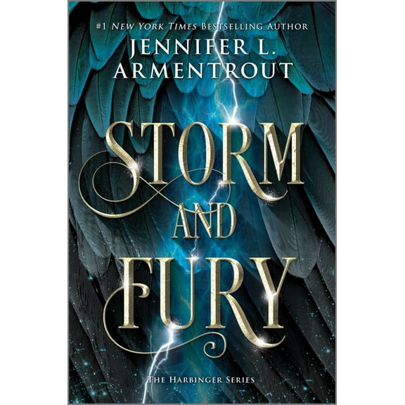 Storm and Fury (Paperback)