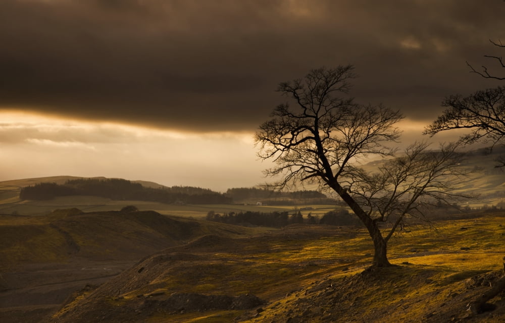 Storm clouds over a hilly landscapeNorthumberland england Canvas Art - John Short Design Pics (19 x 12)