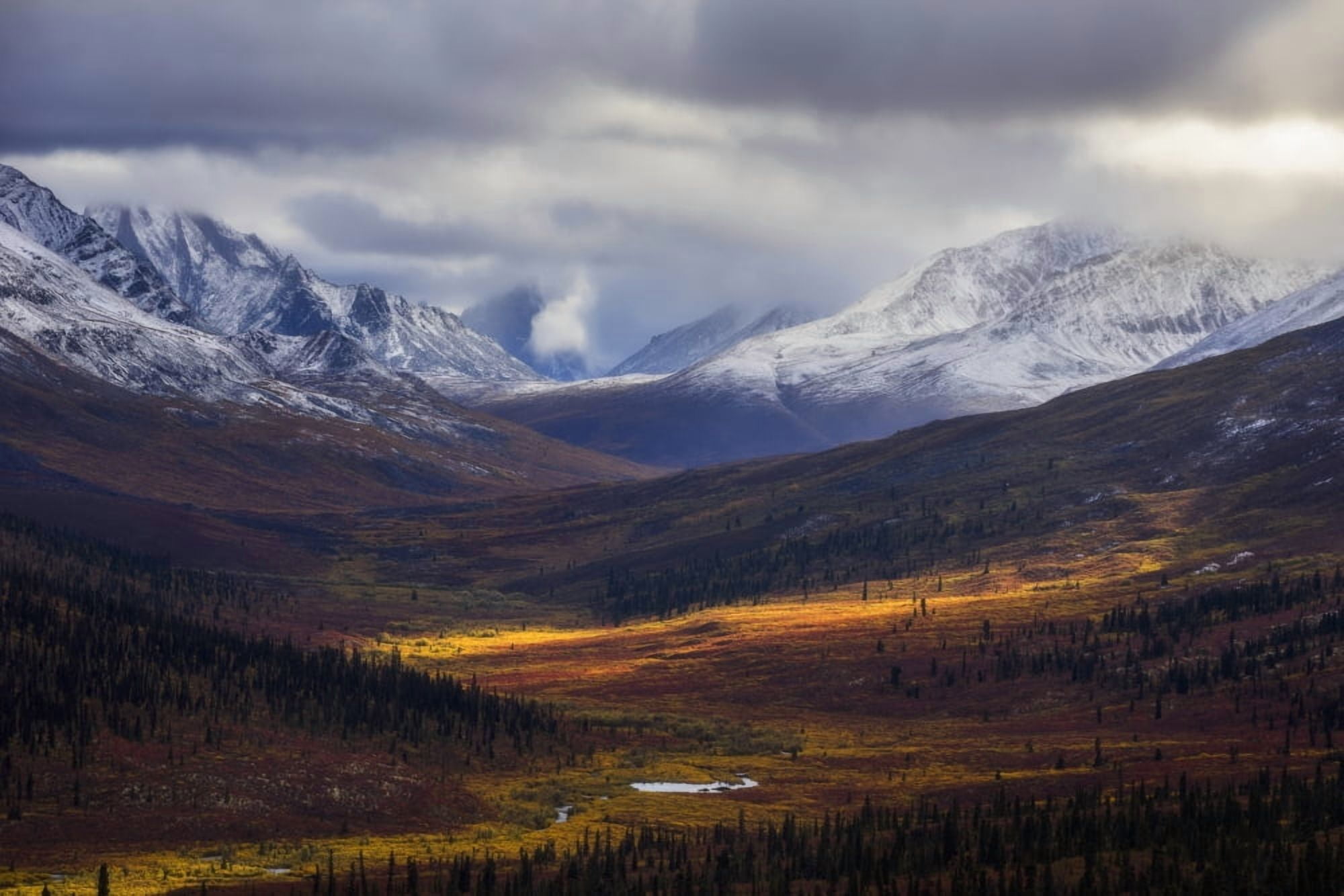 Storm clouds part allowing light to illuminate the landcape in the North Klondike Valley along the Dempster Highway in northern Yukon Yukon Canada Canvas Art - Robert Postma Design Pics (19 x 12)