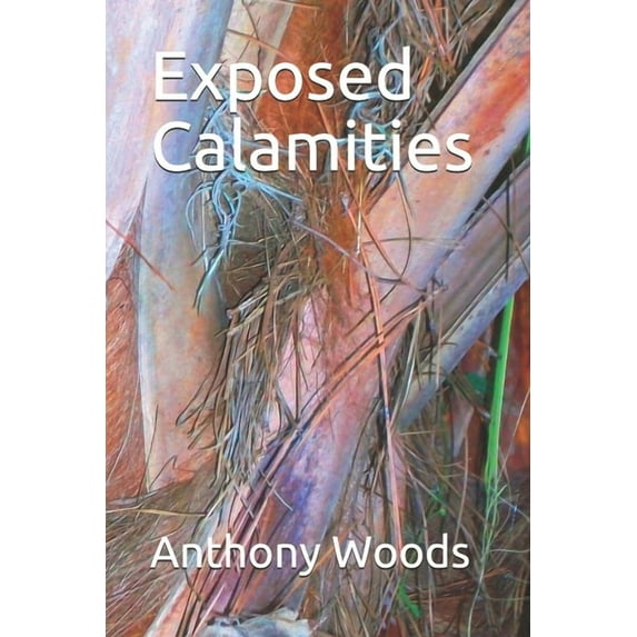 Storm of Souls: Exposed Calamities (Series #3) (Paperback)