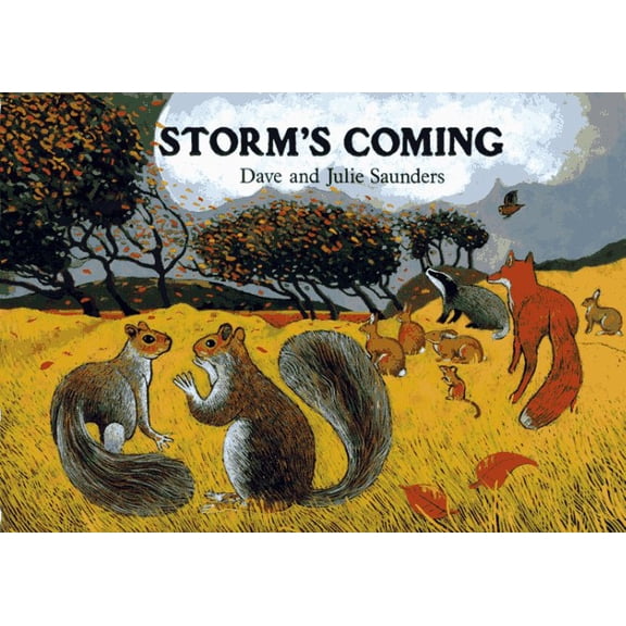 Pre-Owned Storm's Coming (Unknown) 0027781348 9780027781342