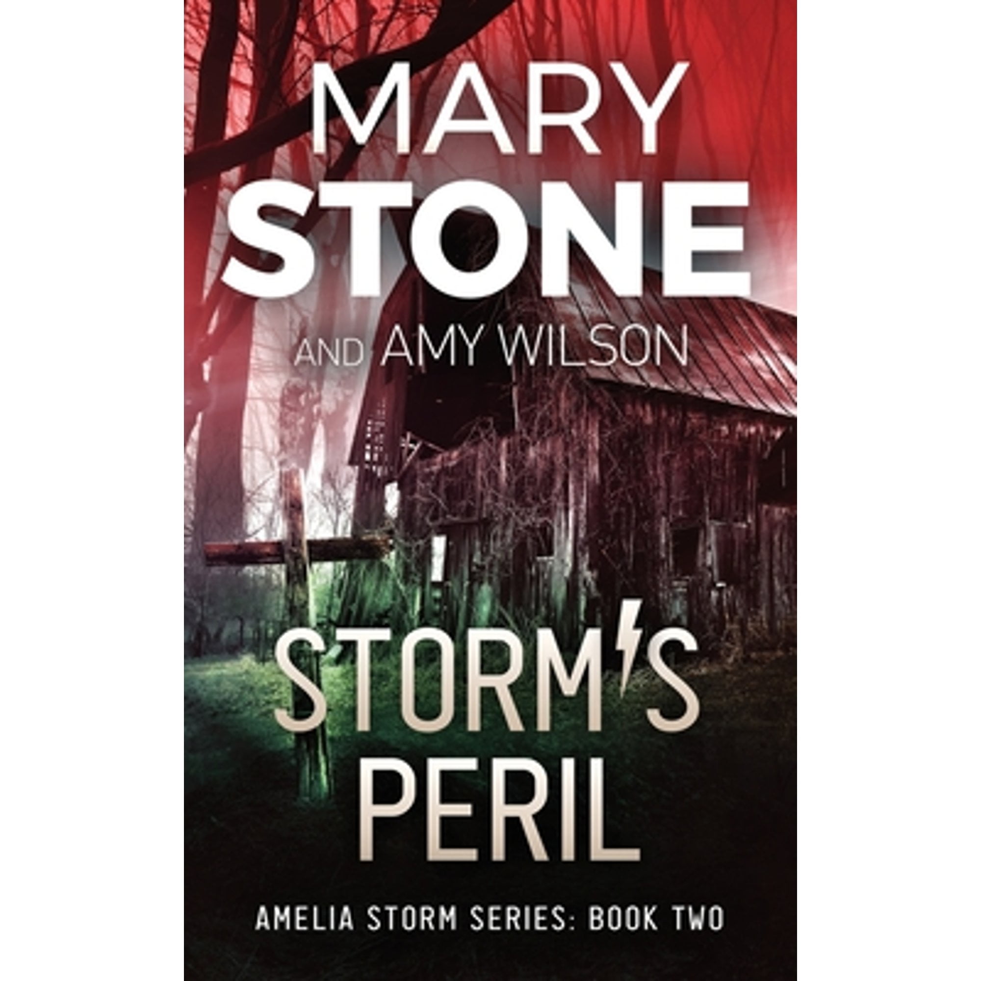 Pre-Owned Storm's Peril (Paperback 9798707943058) by Amy Wilson, Mary Stone