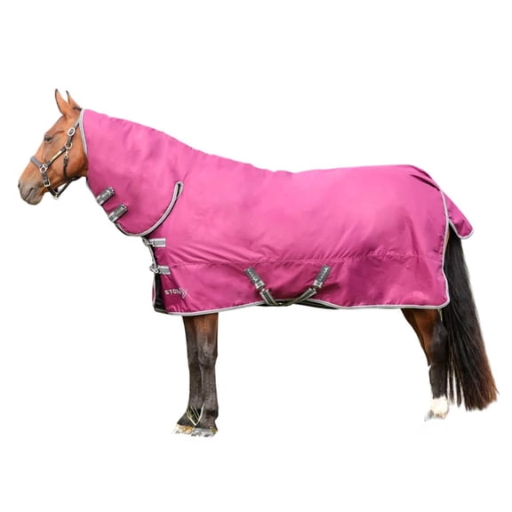 StormX Empra 200 Combi Combo Neck Horse Turnout Rug