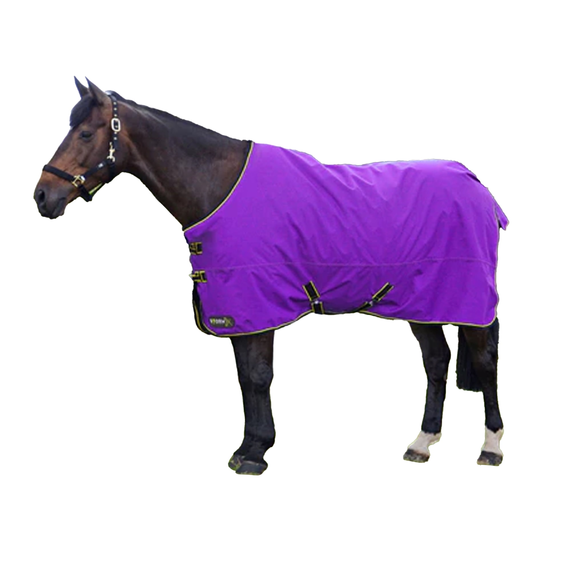 StormX Original 50 StandardNeck Horse Turnout Rug