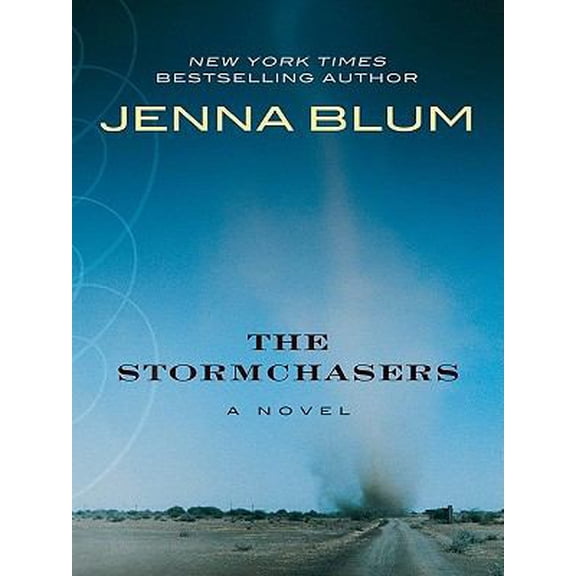 Pre-Owned The Stormchasers (Hardcover) 1410429938 9781410429933