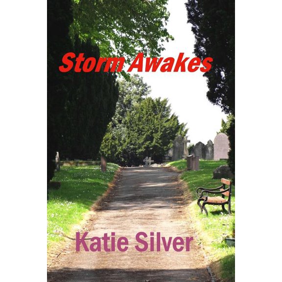 Storms Trilogy: Storm Awakes: Storms Trilogy book 1 (Paperback)