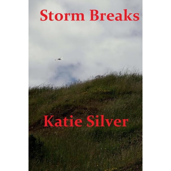 Storms Trilogy: Storm Breaks: Storms Trilogy Book 2 (Paperback)