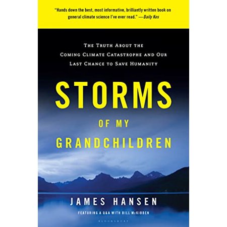 Pre-Owned Storms of My Grandchildren: The Truth about the Coming Climate Catastrophe and Our Last Chance to Save Humanity (Paperback) 1608195023 9781608195022