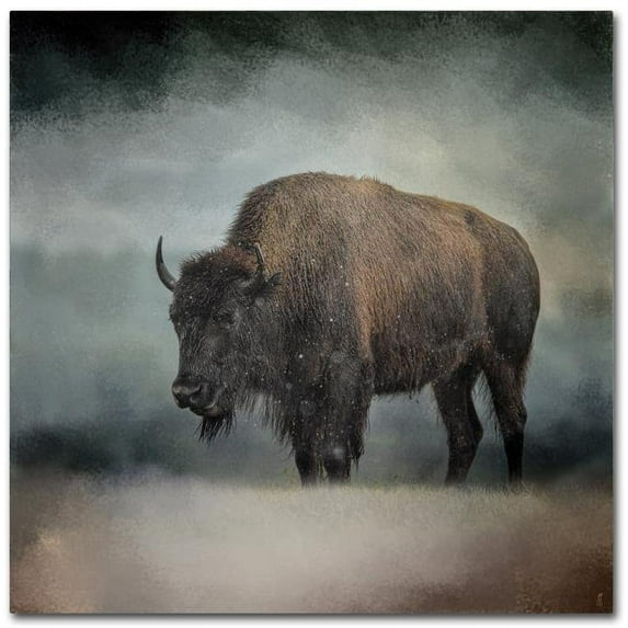 Trademark Fine Art Jai Johnson Stormy Day Buffalo Canvas Wall Art - 18x18