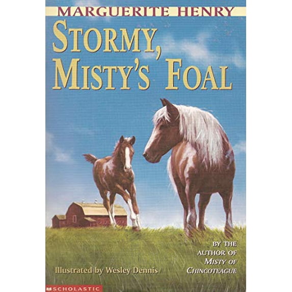Pre-Owned Stormy, Misty's Foal (Paperback) 0590453130 9780590453134