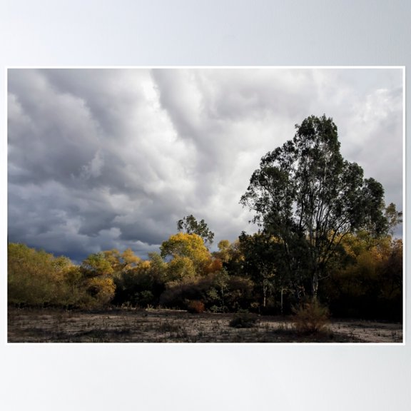 Stormy Sky Poster Wall Art, Modern Wall Decor, 8x12 UNFRAMED