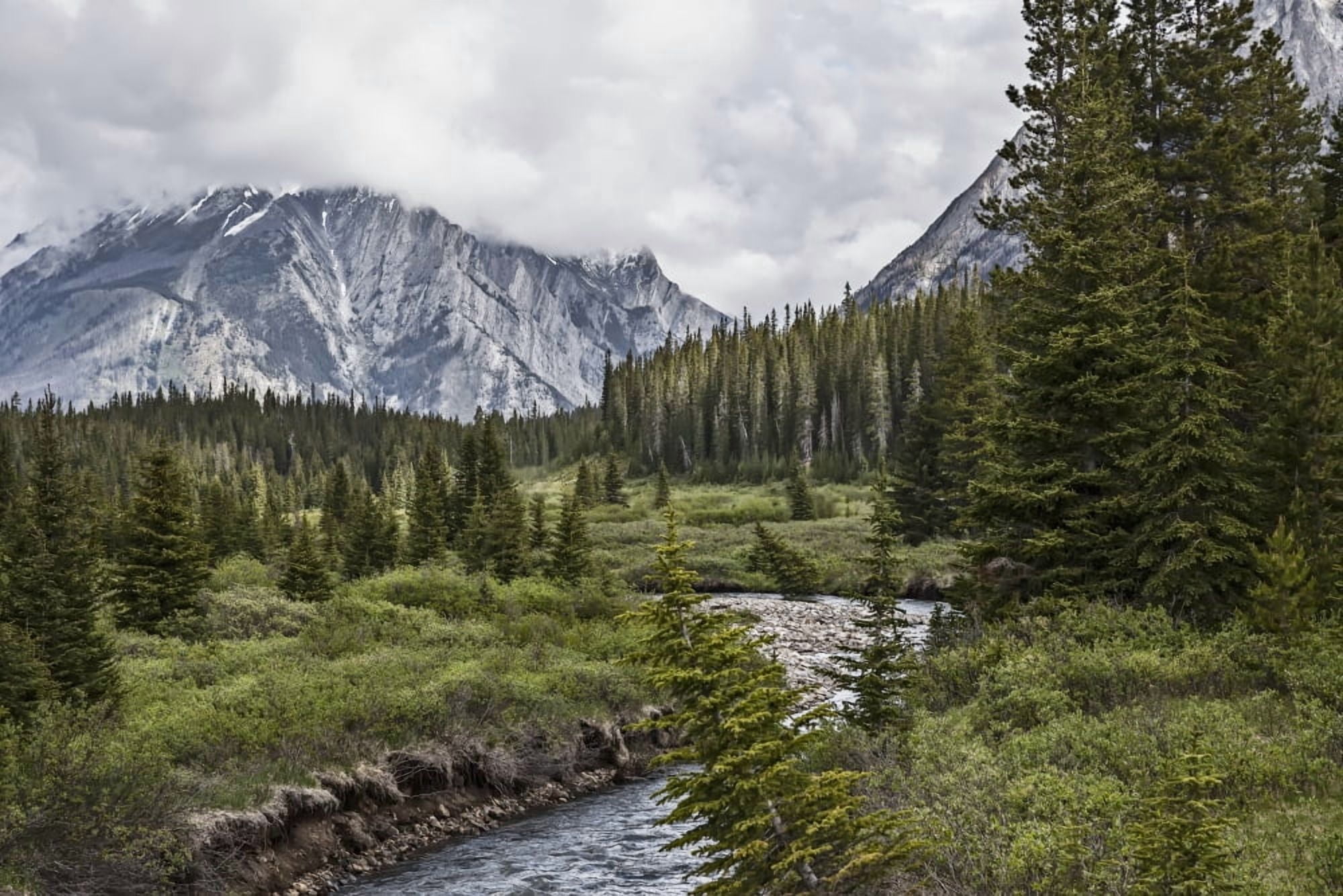 Stormy skies over mountain Kananaskis country Alberta Canada Canvas Art - Ron Harris Design Pics (38 x 24)