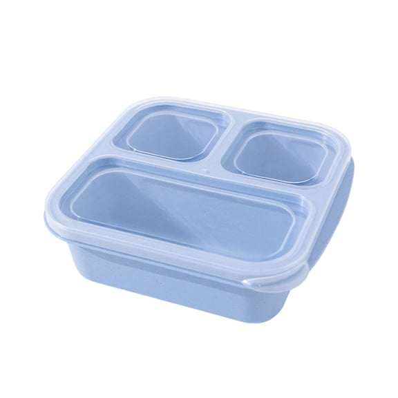 Storsr Snack Bento Box, Portable Food Storage Container with Dividers, Leak-Proof Fruit & Nut Container, Reusable Plastic Meal Prep Box for Snacks, No Mixing of Flavors,Blue