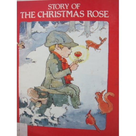 Pre-Owned Story of the Christmas Rose (Library Binding) 0816710694 9780816710690