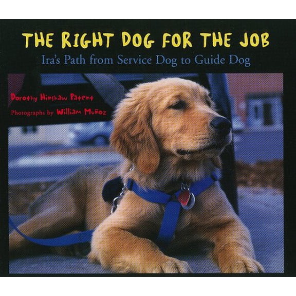 Pre-Owned Storytown : Challenge Trade Book Story 2008 Grade 3 Right Dog/Job