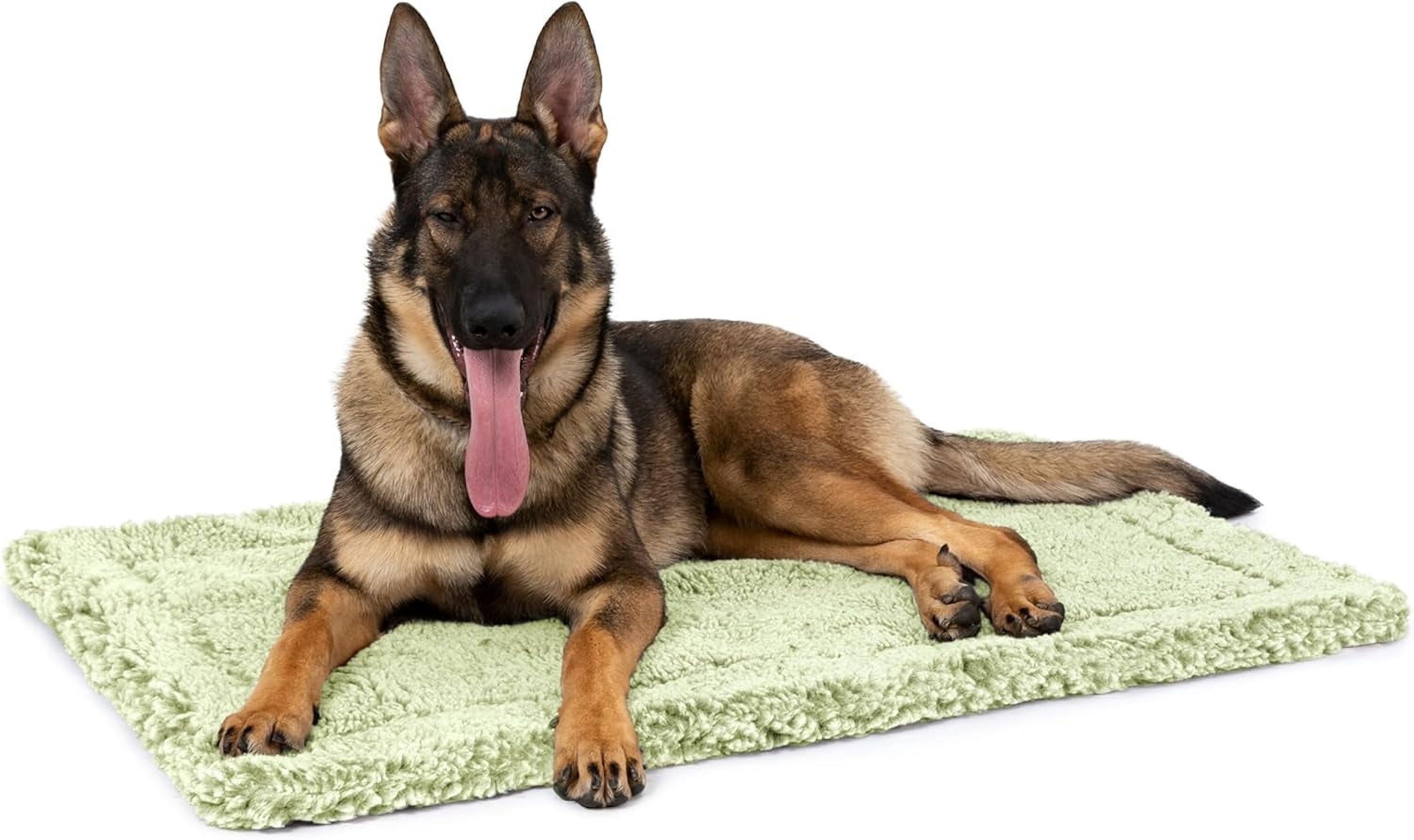 Image showcasing PELZIN Stoutwool Indestructible Dog Bed - Fluffy Chew Proof Dog Crate ...