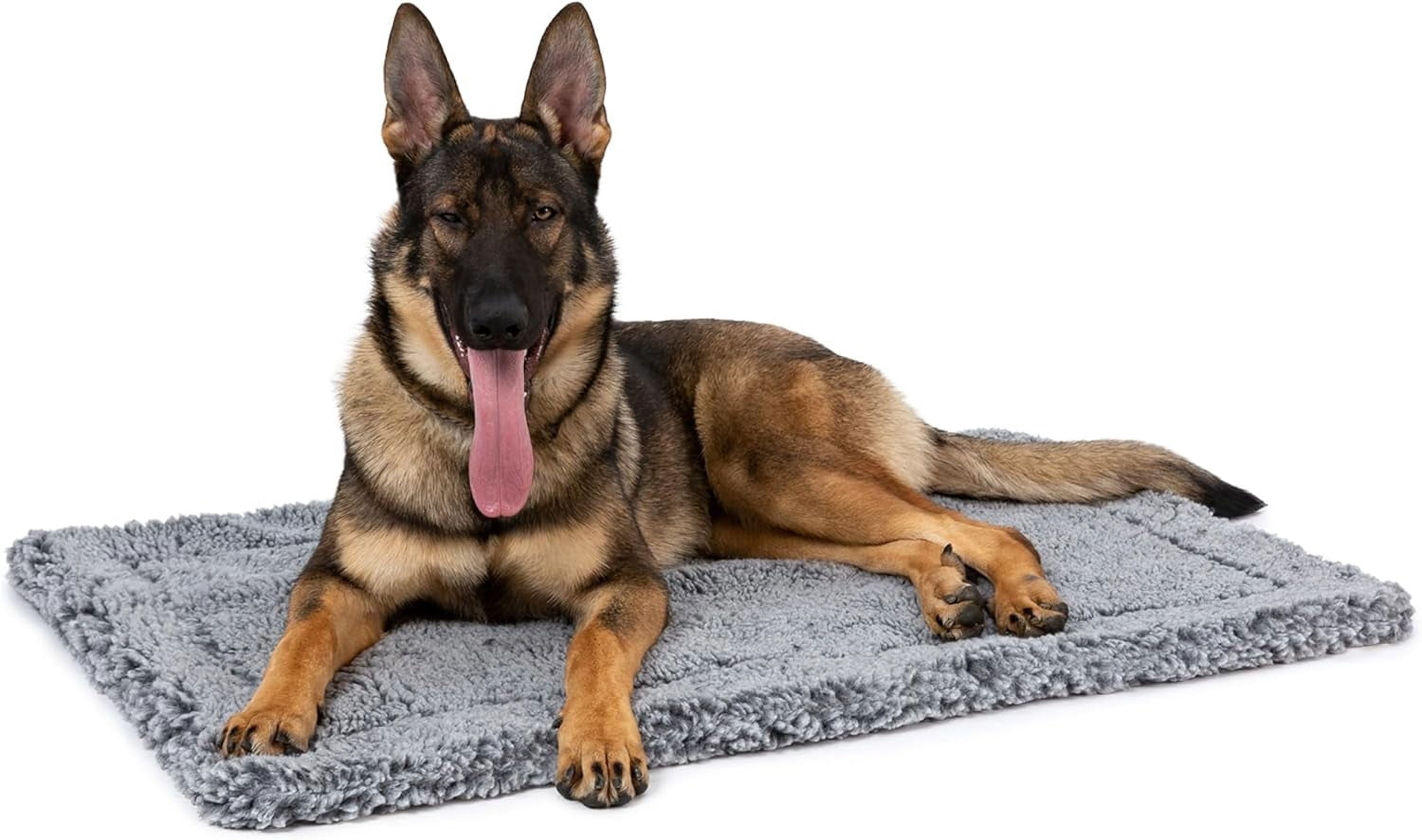 PELZIN Stoutwool Indestructible Dog Bed - Fluffy Chew Proof Dog Crate Pad - Tough Kennel Pad for Aggressive Chewers - Ideal for Extra Large Breeds & Fits 48-Inch Crate - 47"x29", Charcoal