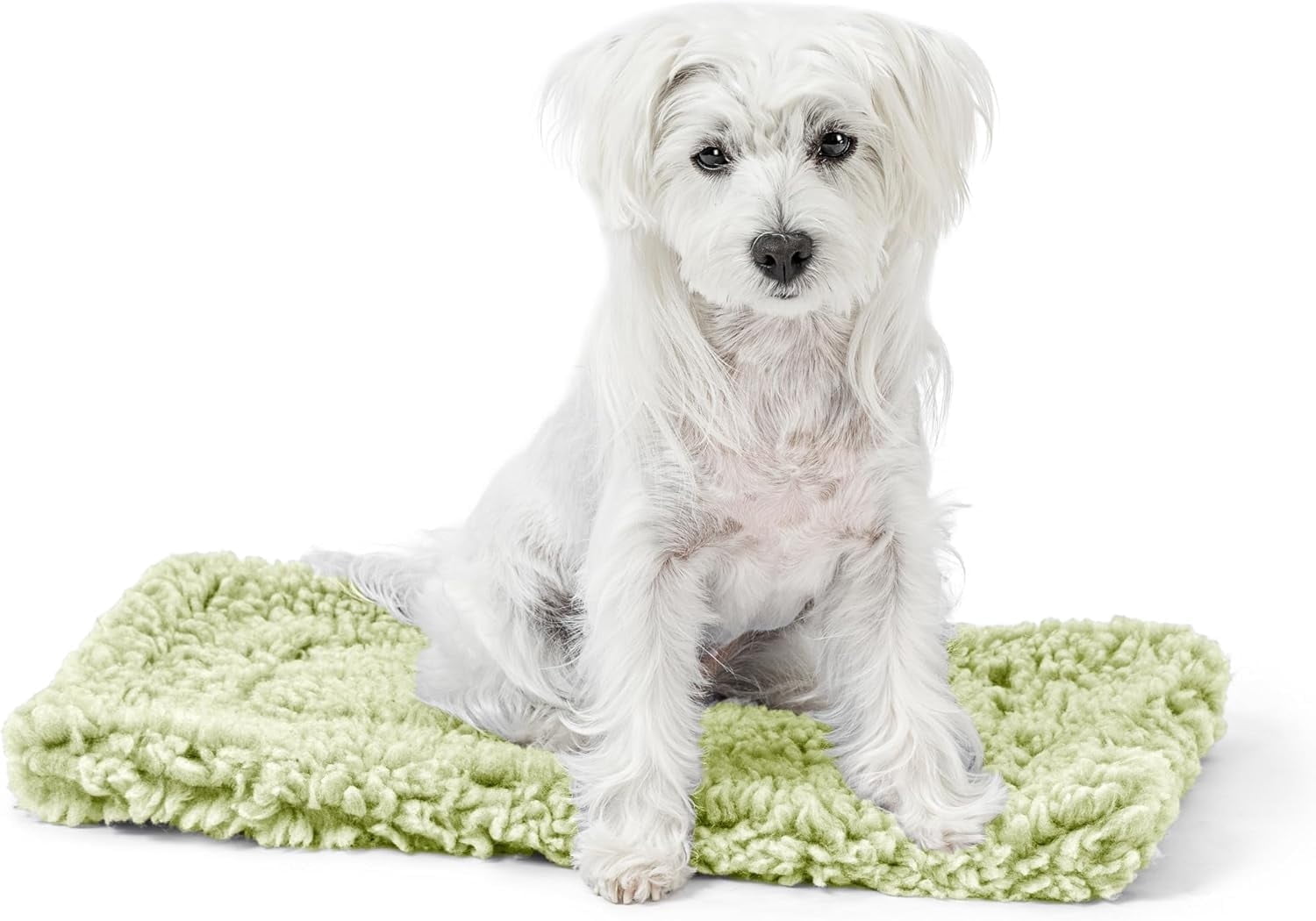 Large Dog Crate Mat Stoutwool Indestructible Dog Bed Chew Proof