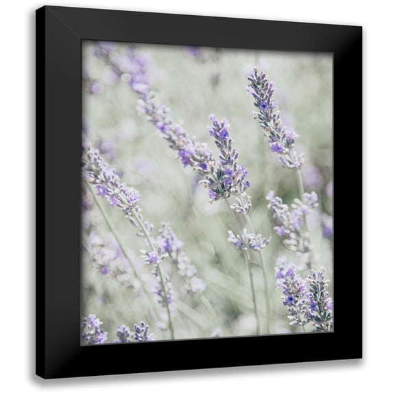 Straatsma, Leah 12x14 Black Modern Framed Museum Art Print Titled - Bleached Lavender in Field