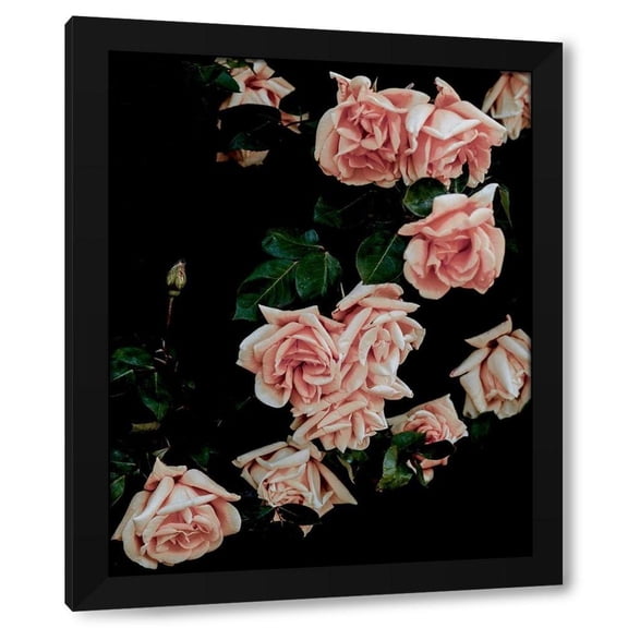 Leah Straatsma 12x14 Black Modern Wood Framed Wall Art Titled - Dark Blush Roses