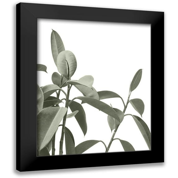 Straatsma, Leah 12x14 Black Modern Framed Museum Art Print Titled - Pale Green Leaves