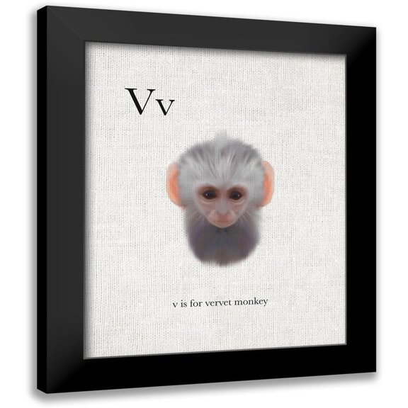 Straatsma, Leah 12x14 Black Modern Framed Museum Art Print Titled - V is for Vervet Monkey