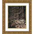 thumbnail image 1 of Straatsma, Leah 12x14 Gold Ornate Wood Framed with Double Matting Museum Art Print Titled - Moody Forest Leaves, 1 of 4
