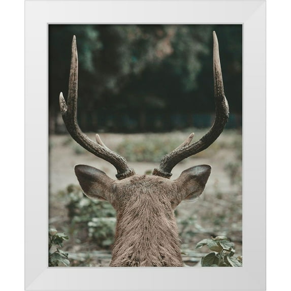 Straatsma, Leah 12x14 White Modern Wood Framed Museum Art Print Titled - Deer With Antlers