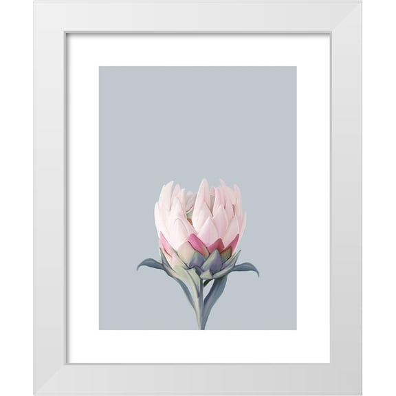 Straatsma, Leah 12x14 White Modern Wood Framed Museum Art Print Titled - King Protea Plant