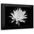 thumbnail image 1 of Straatsma, Leah 14x12 Black Modern Framed Museum Art Print Titled - Modern BW Floral 2, 1 of 5
