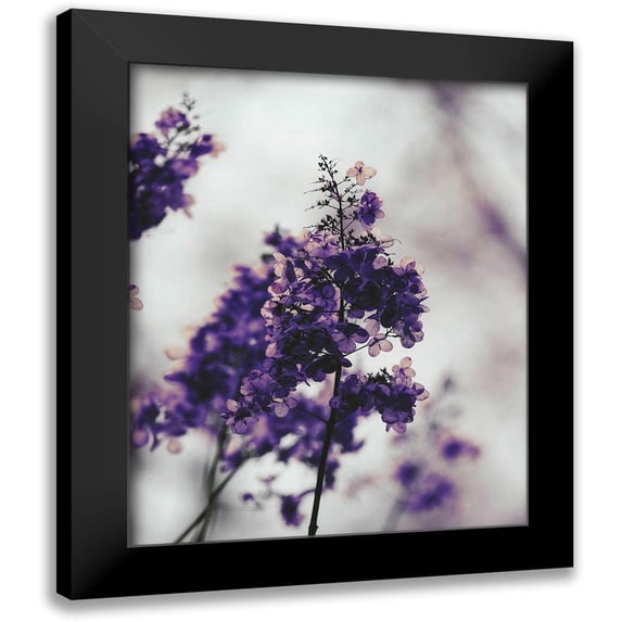 Straatsma, Leah 15x18 Black Modern Framed Museum Art Print Titled - Purple Dried Hydrangea