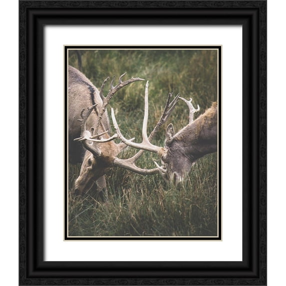 Straatsma, Leah 15x18 Black Ornate Wood Framed with Double Matting Museum Art Print Titled - The Fight