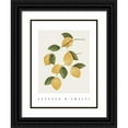 thumbnail image 1 of Straatsma, Leah 19x24 Black Ornate Wood Framed with Double Matting Museum Art Print Titled - Amalfi Lemons, 1 of 4